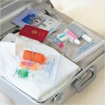 画像1: 機内持込みユニパックタイプ (1)